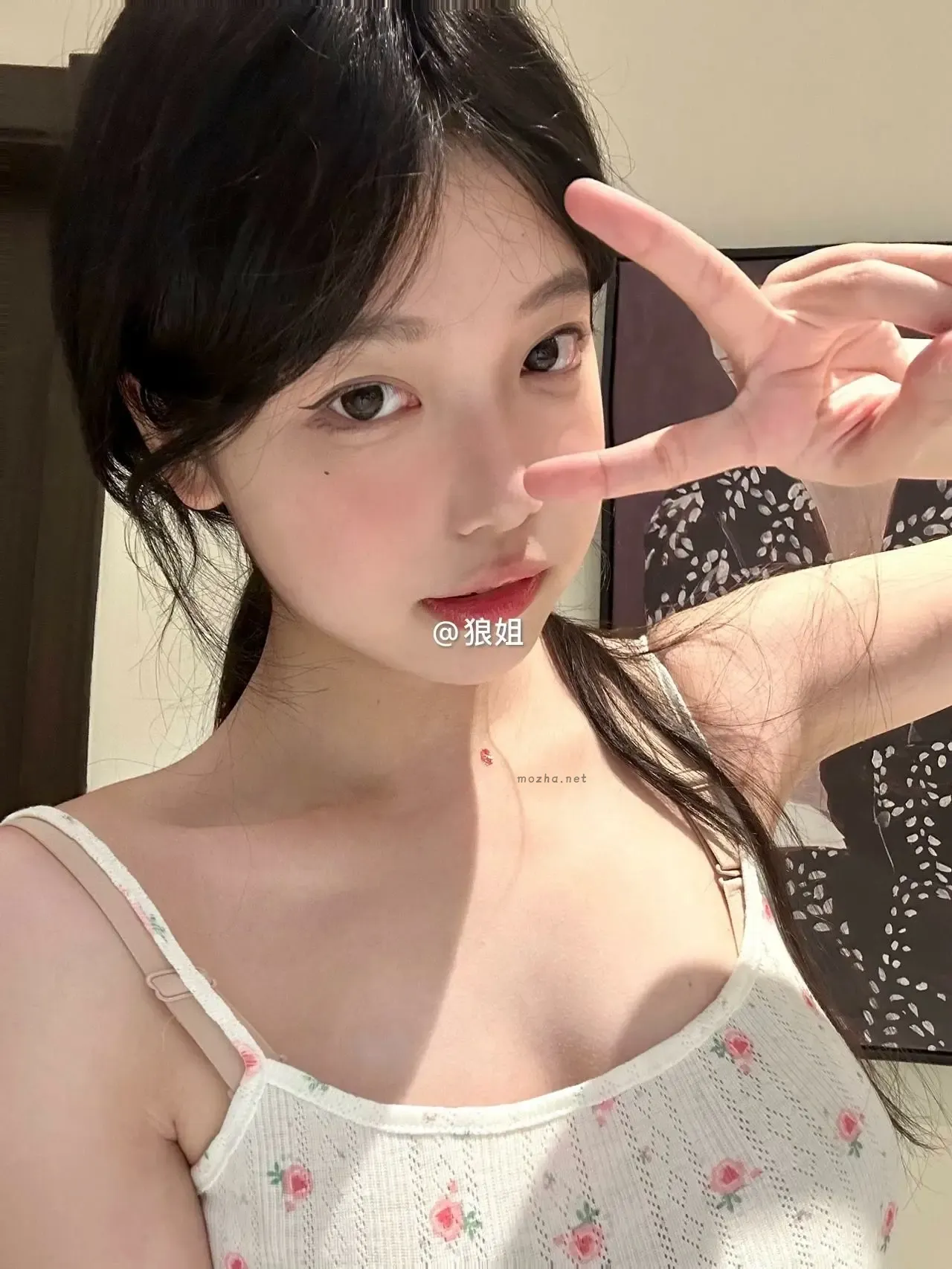 1p狼 – NO.008期【17P15V】